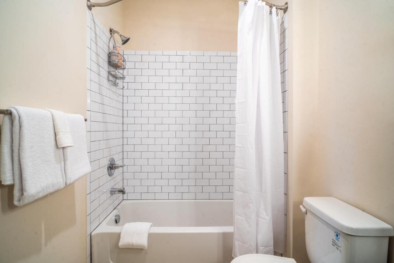 Cozy And Bright Apartments At Marble Alley Lofts In Downtown Knoxville Zewnętrze zdjęcie